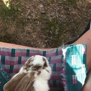 Meet your Posher, Trinity